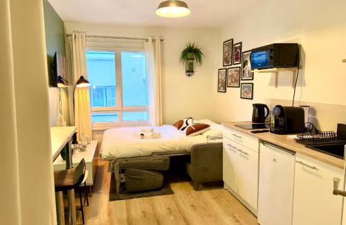 Gorge de Loup Apartment | Little Italy - Studio fourvière - quais de saône Lyon 9