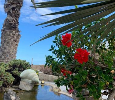Arenas del Mar Apartment | Little Paradise in El Médano 2
