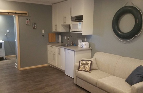 Twillingate Apartment | Little Wild Cove Suite dog friendly!