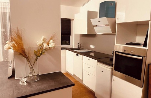 Neuenheim Apartment | Living in the heart of Heidelberg