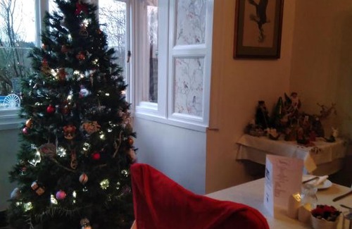 Llanwrtyd Wells Bed & Breakfast | Llanwrtyd Hall B&B Angelis Holistic Retreat