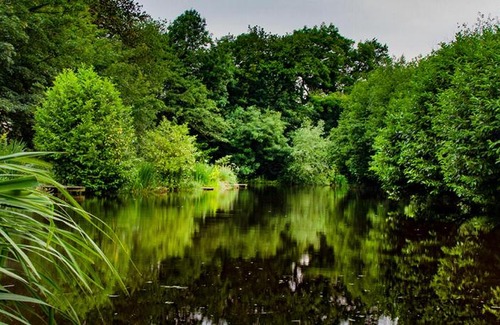 Mouldsworth Other | Lloyds Meadow Glamping