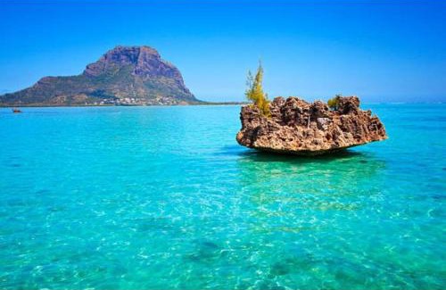 La Gaulette Apartment | LnD Apartments - Le Morne 2 - One Bedroom