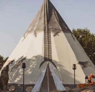Nogal Other | Lobo Tipi at El Mistico Ranch