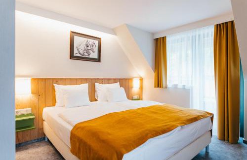 Baile Homorod Resort | Lobogo Resort