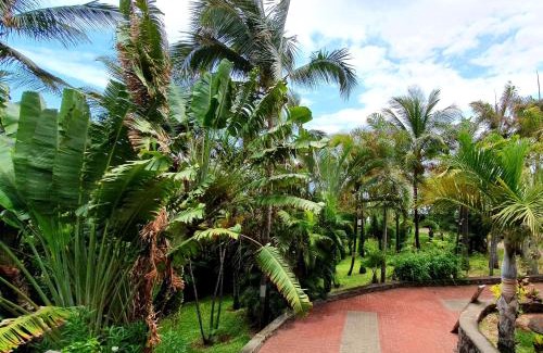 Piton Saint-Leu Apartment | Loc974 Les Cocotiers