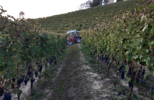 Roddino House | Locanda San Lorenzo