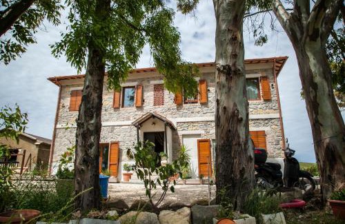 Tarquinia Bed & Breakfast | Locanda Villa Naumanni