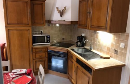 Besse-et-Saint-Anastaise Apartment | Locations de la cascade 4 personnes
