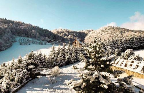 Polany Cabin | Lodge ∙ 7 bedrooms ∙ 18 guests