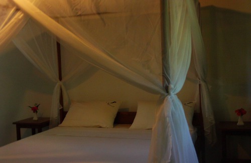 Toamasina Province House | Lodge de l hippocampe parc Masoala