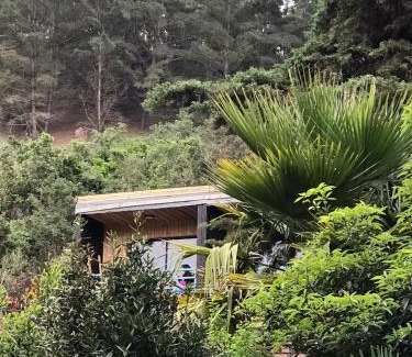 Navidad House | Lodge Los Bosques