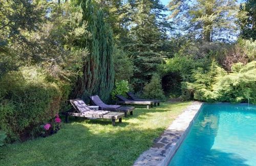 Pucon House | Lodge Tenis Pucon cl