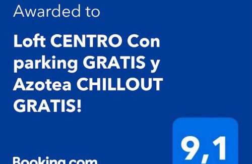 Talavera de la Reina Apartment | Loft CENTRO Con Parking privado GRATIS