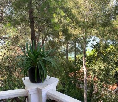 Juriquilla Apartment | Loft con vista al lago