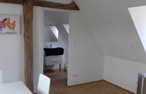 Malicorne-sur-Sarthe Apartment | Loft