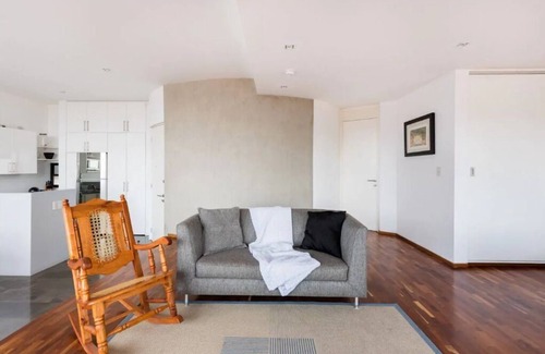 Escandon Condo | Loft in fifth floor with great views to green and the city and a roof garden too