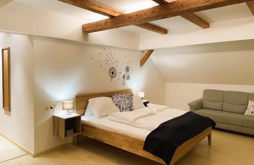Annaberg im Lammertal Apartment | Loft Krämerhaus Annaberg, Dachstein West