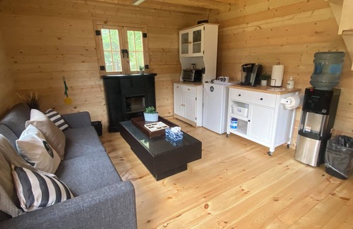 Weslemkoon Cabin | Loft Pine Cabin with Lake and Crown Land Access | Dog-Friendly