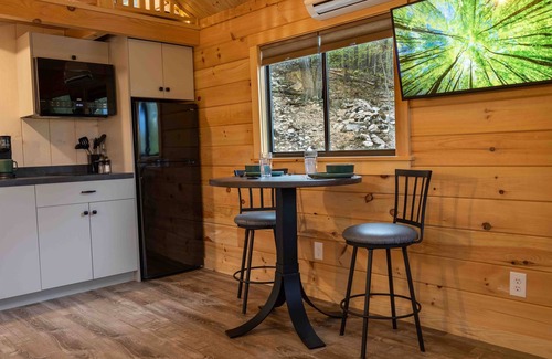 Allegheny Mountains Cabin | LogCabin w/hot tub l borders Mon. National Forest