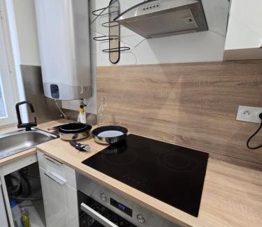 Foix Apartment | Logement entier 35m2 avec wifi - 2chambres - rénové - hypercentre Foix