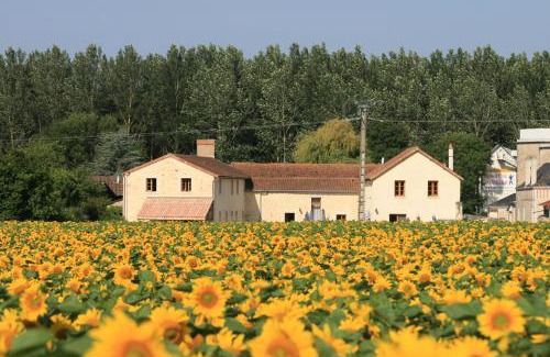 Berrie House | Loire Escapes - Maison D'Hibou