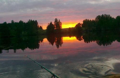 Saarijarvi Villa | Lomakoivulehto