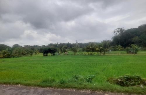 Batukliang Villa | Lombok Happy