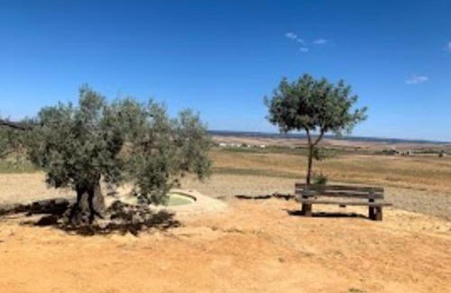 Villalba del Alcor Villa | Los Alcores , disfruta de la naturaleza !