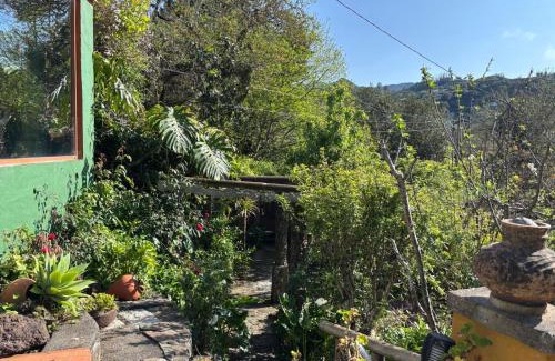Valleseco Ski Chalet | Los Matos, Canarian house in Valleseco
