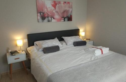 Logrono Historic Centre Apartment | Los Tejados de Laurel