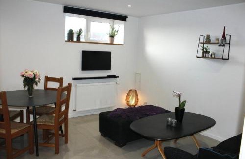 Aalborg Municipality Apartment | Lothani Luxury Inn