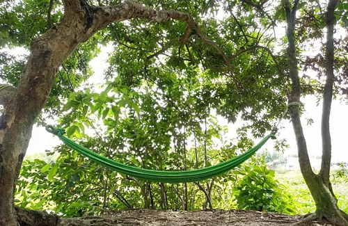 Cu Chi House | Lotus Home
