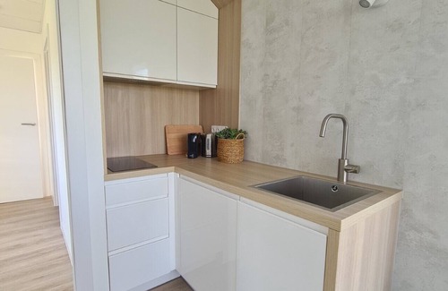 Municipality of Smallingerland Ski Chalet | Lovely Tiny House in the middle of the Alde Feanen National Park