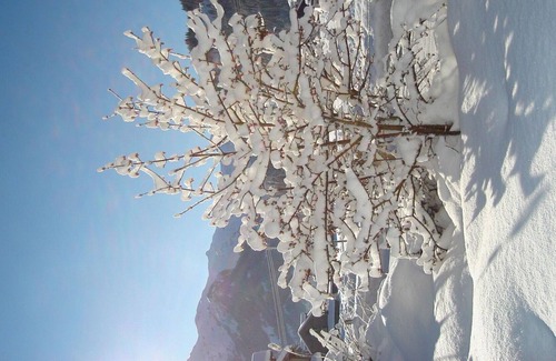 Lenk Apartment | Lovely apartment for 4 people with WIFI, TV, balcony and parking