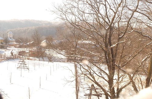Valsanesti House | Lovely Attic in Traditional Old House & Garden near Forest