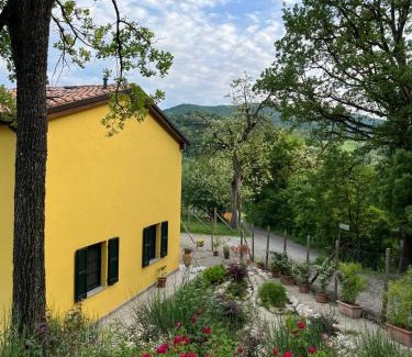 Vezzano sul Crostolo Bed & Breakfast | Luci nel Bosco B&B