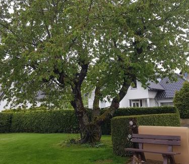 Mastershausen Apartment | Ludwinas Pfingststube