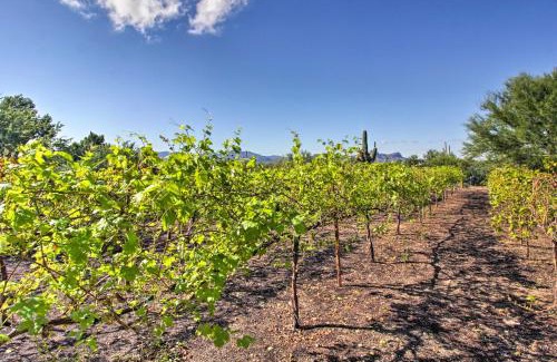 Tortolita House | Luxe Tucson Vineyard Home with Views and Fire Pit