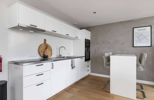 Groningen Apartment | Luxurious rooftop penthouse with rooftop terrace, a balcony, bath, duo shower