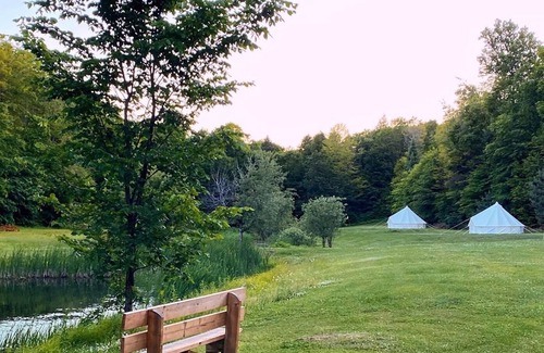 Weslemkoon RV Rental | Luxury 19ft Bell Tent | Weslemkoon Lake | Pond and Forest Views | Lake Access