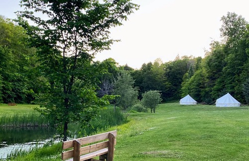 Weslemkoon RV Rental | Luxury 22ft Bell Tent | Weslemkoon Lake | Pond and Forest Views | Lake Access