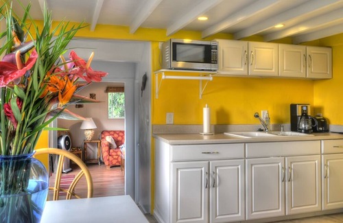Honaunau-Napoopoo House | Luxury And Aloha Await You! Relaxation, Great Snorkeling, Large Unit