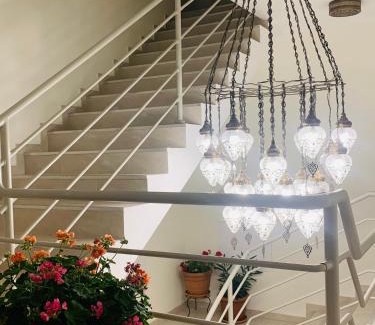 Psie Pole Apartment | Luxury Apartments