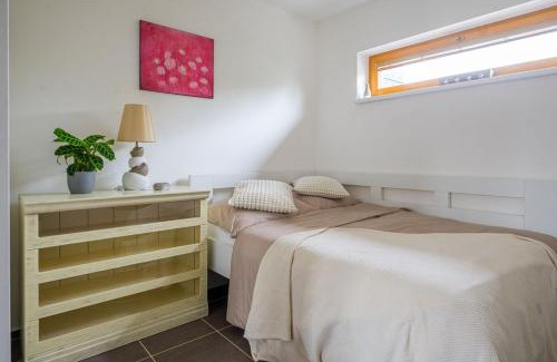 Brno-stred Apartment | Luxury Flat in Brno PurpleRED