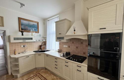 Karlovy Vary Apartment | Luxury Gato View Apartment Karlovy Vary with private parking