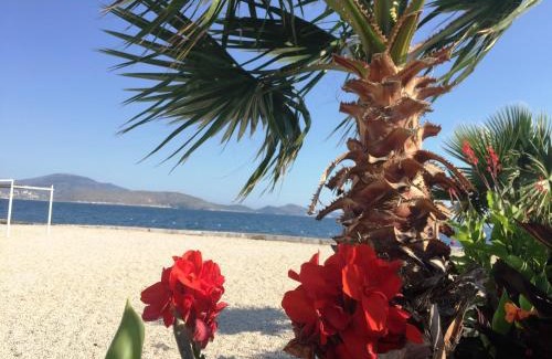 Kodrra Apartment | Luxury Holiday in Royal Apartment for King and Queen
