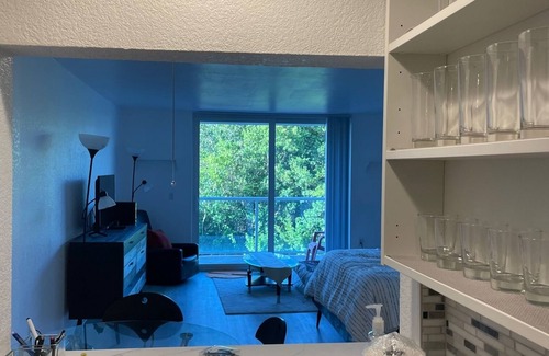 Palm Beach Condo | Luxury Large Studio In Hart Of Palm Beach Island