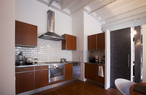 Plainpalais Apartment | Luxury loft downtown Geneva