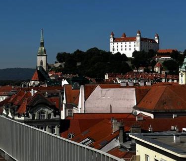 Old Town Apartment | Luxury PENTHOUSE at the Historical Centre Parking